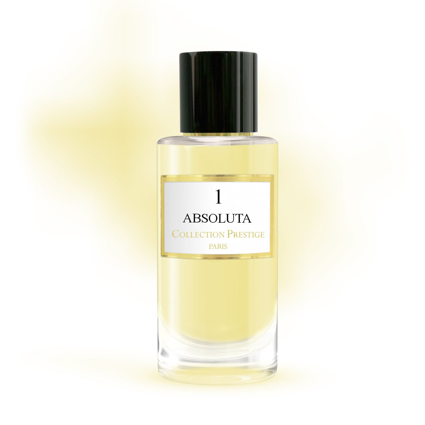 Absoluta N°1