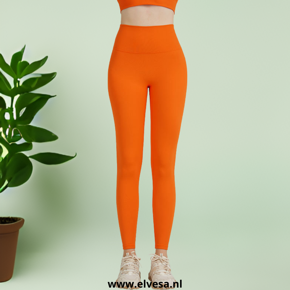 Sportlegging | 1+1 GRATIS